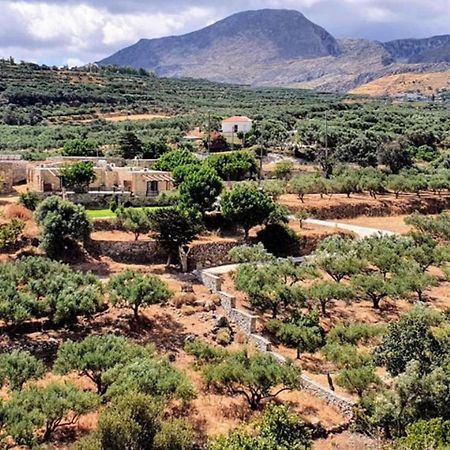 Petrakis Cretan Homes 基萨莫斯 外观 照片