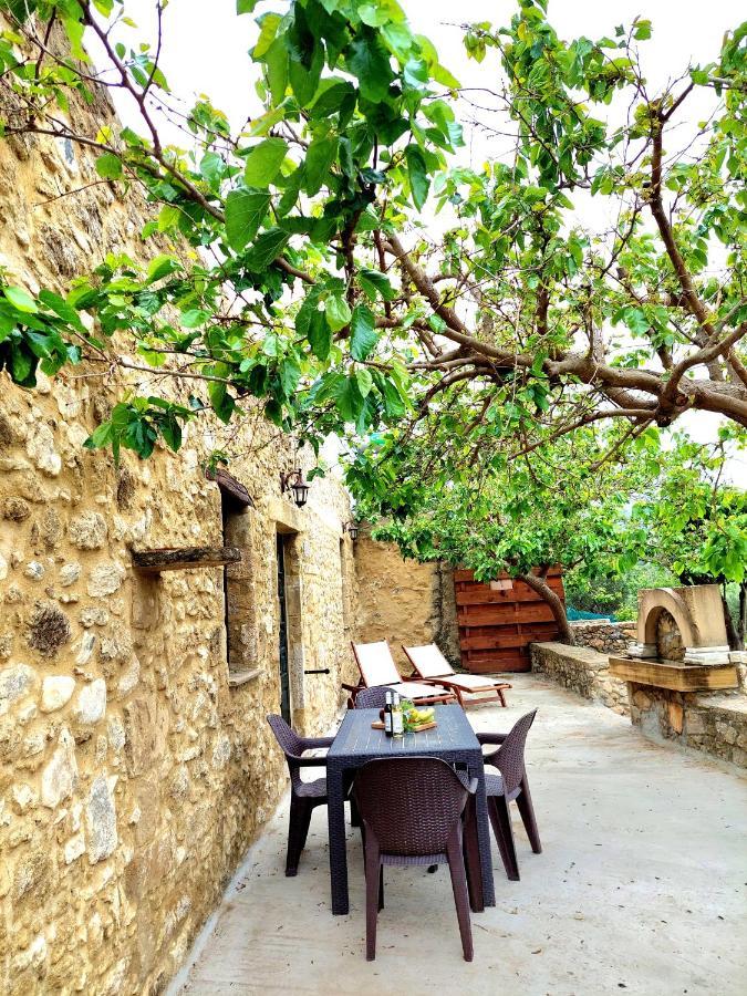 Petrakis Cretan Homes 基萨莫斯 外观 照片