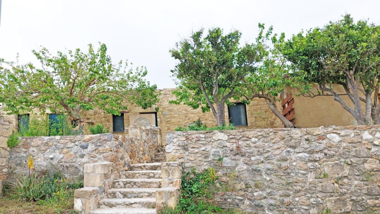 Petrakis Cretan Homes 基萨莫斯 外观 照片