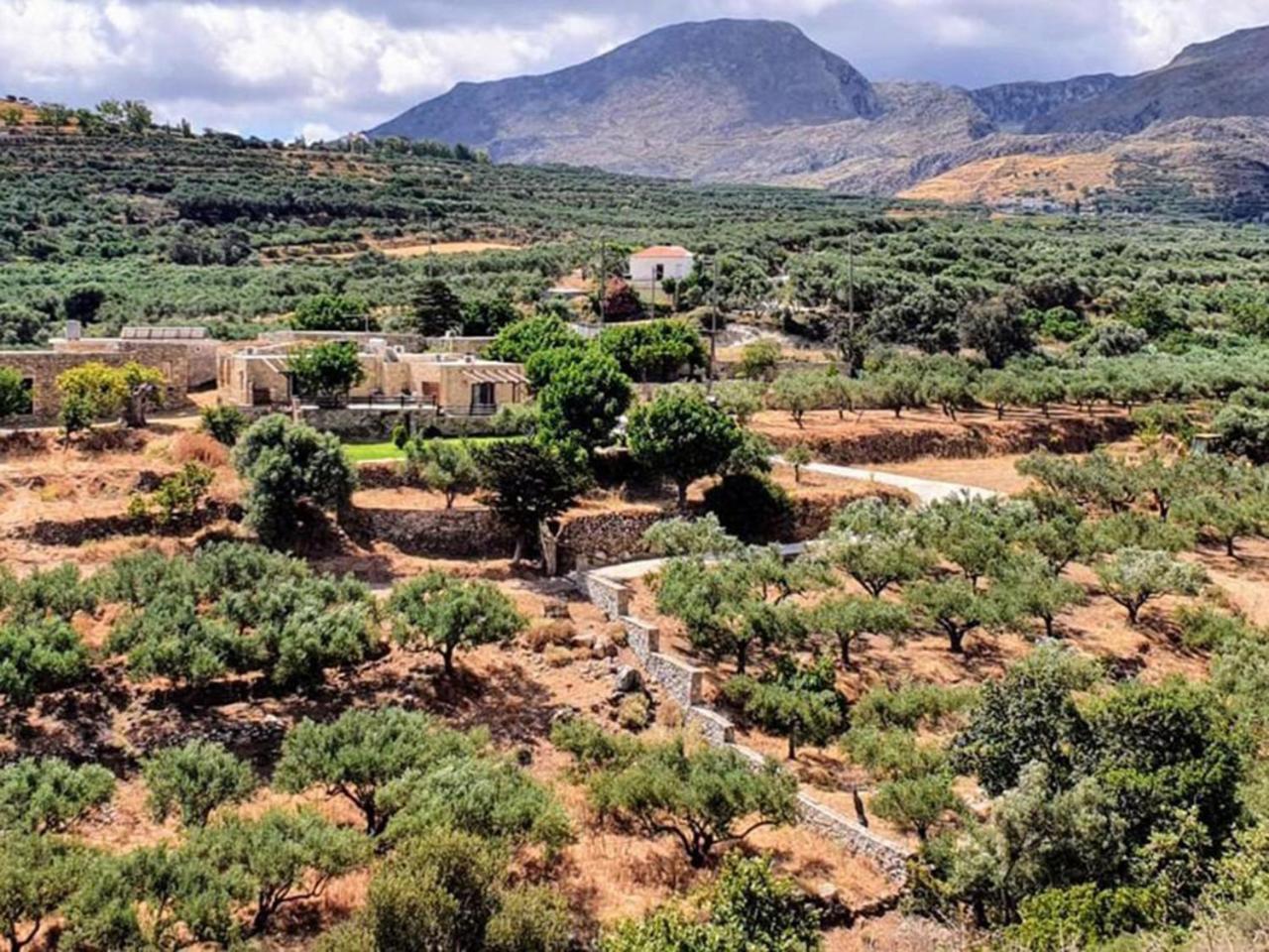 Petrakis Cretan Homes 基萨莫斯 外观 照片