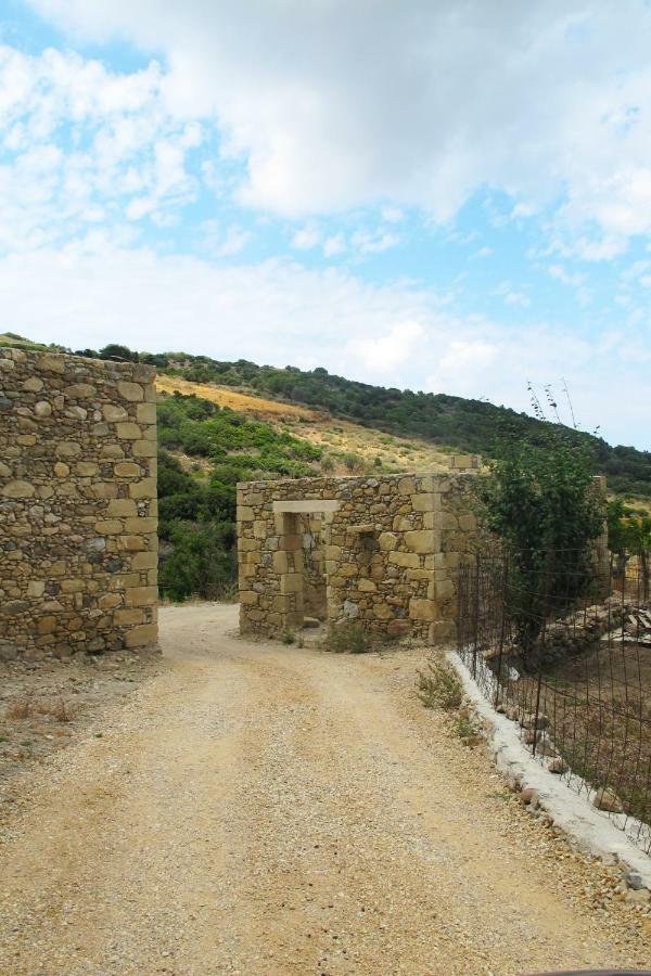 Petrakis Cretan Homes 基萨莫斯 外观 照片