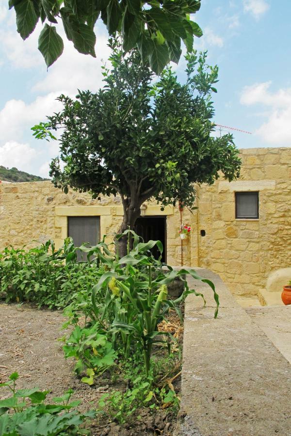 Petrakis Cretan Homes 基萨莫斯 外观 照片