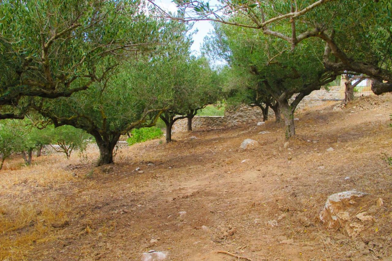 Petrakis Cretan Homes 基萨莫斯 外观 照片