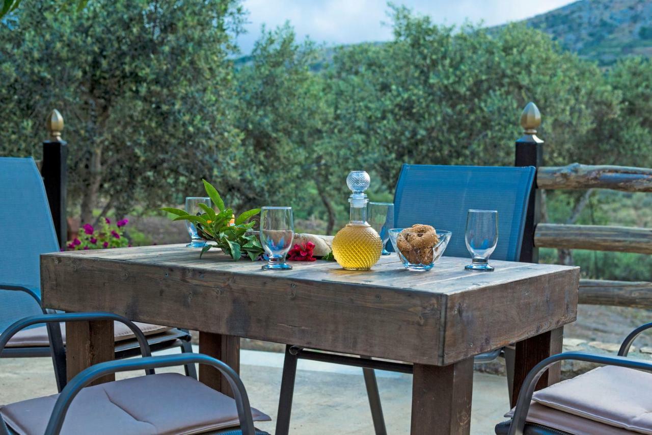 Petrakis Cretan Homes 基萨莫斯 外观 照片