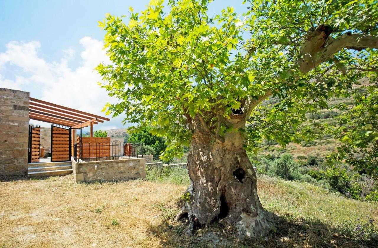 Petrakis Cretan Homes 基萨莫斯 外观 照片